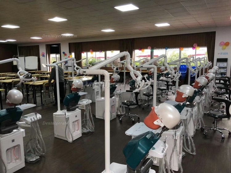 Jingle JG-A2 Phantomkopf Zahnmedizin-Patientensimulator Mit Zahnarzthocker und Zahnlampe